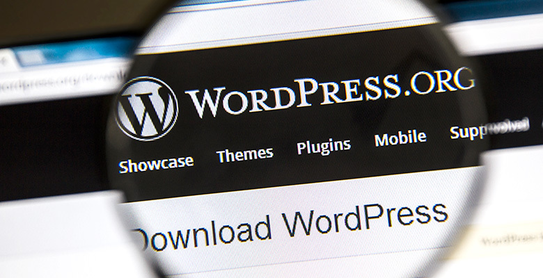 WordPress Perfect For Business Websites