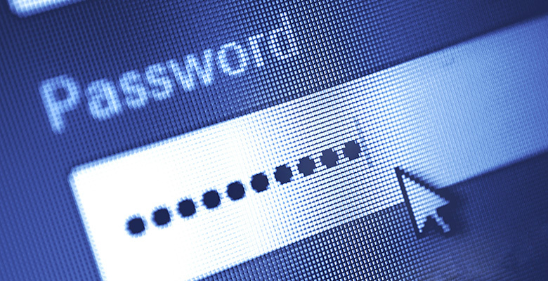 Websiote Password Safety