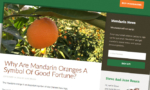 Agriculture and Farming Website Design