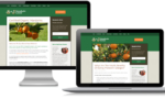 Mandarin Orange WordPress Website Development